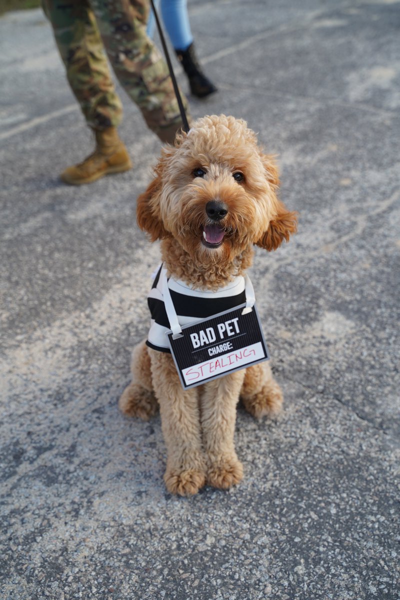 120thR's tweet photo. π»ππΈ Check out these snap shots from the Halloween Extravaganza . Best Costume award goes to our "Little Warriors" pictured below.
#VictoryStartsHere #WeSetTheExample #NoGroundtoGive
@fortjackson @TRADOC @USACIMT https://t.co/DZkhjt8PQU