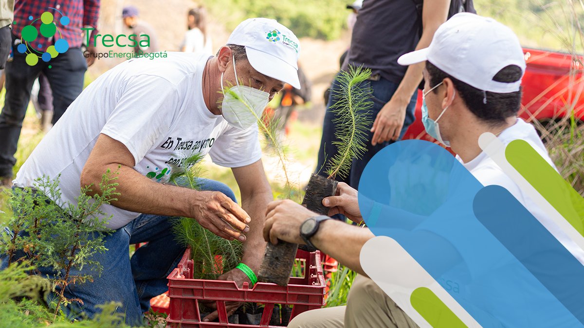 El desarrollo sostenible es aquel capaz de satisfacer las necesidades actuales, sin comprometer los recursos de las presentes y futuras generaciones. Esto es lo que hacemos a través de la ejecución ambientalmente responsable de nuestros proyectos. 🌳⚡ #SomosEnergía #SomosTrecsa