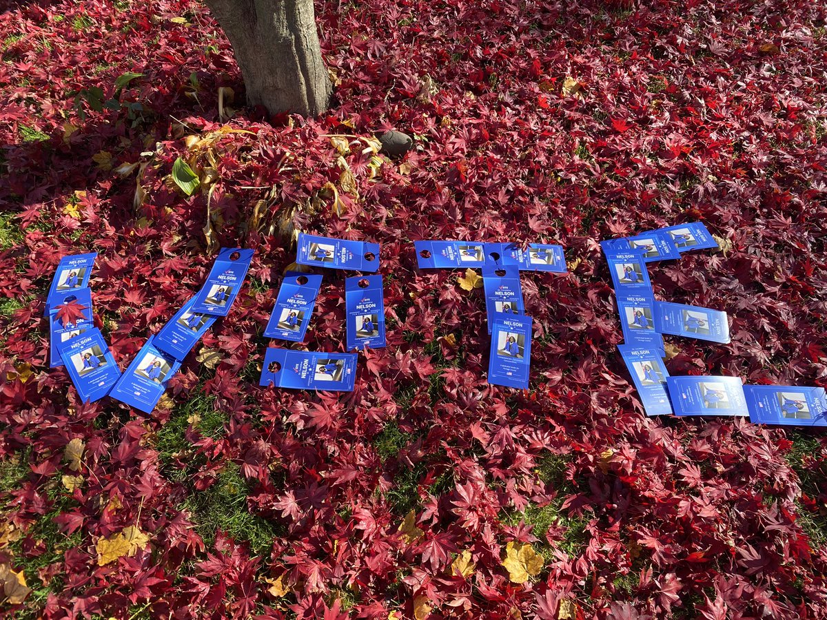 DrNelsonPortage's tweet photo. When we go out and get to 500+ doors you get creative and let everyone know you NEED to get out and Vote!!! https://t.co/ymPtRRy3Mx