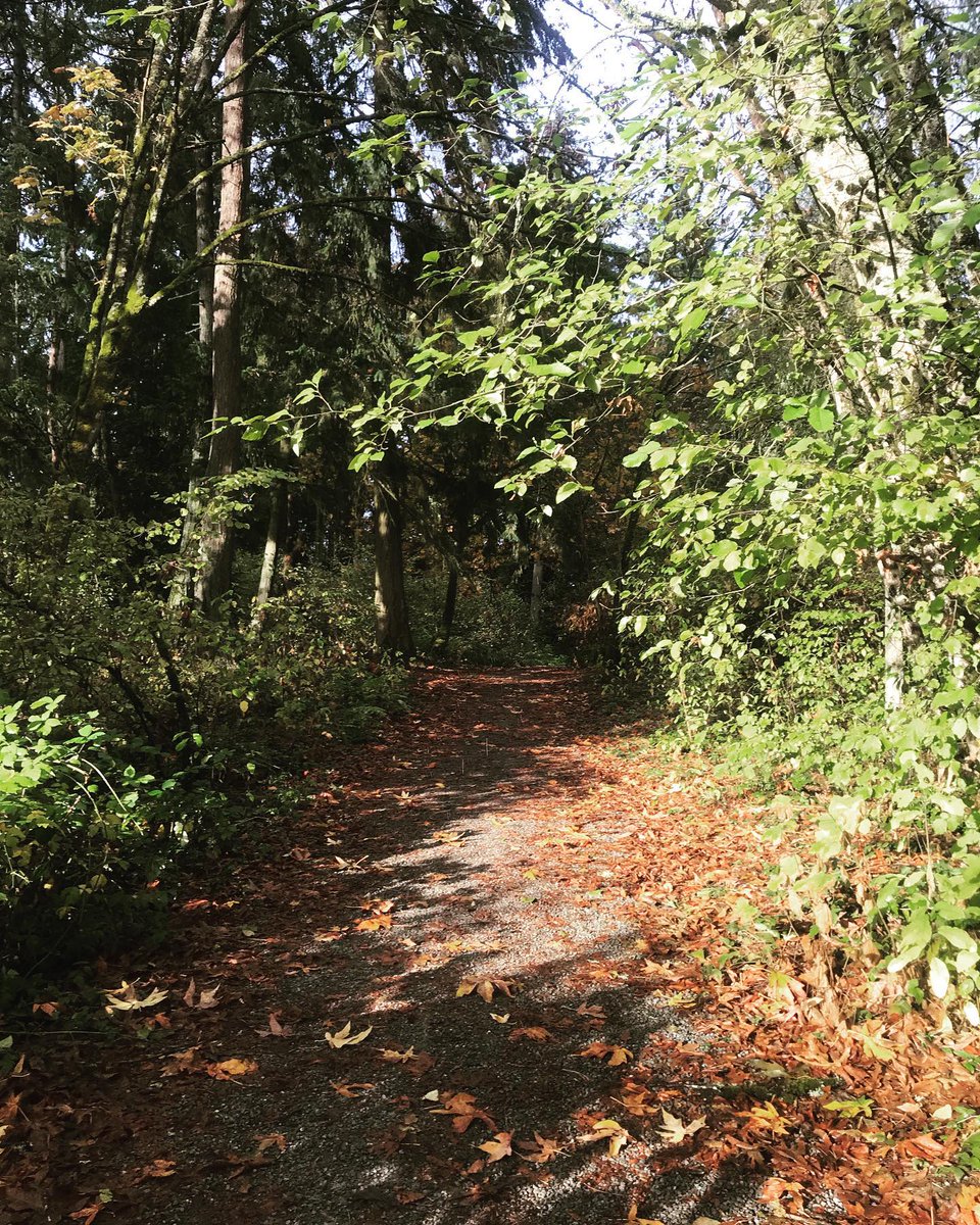 Back in the chilly Northwest! only have 45° temperature change. LOL #fallcolors #home #amwriting