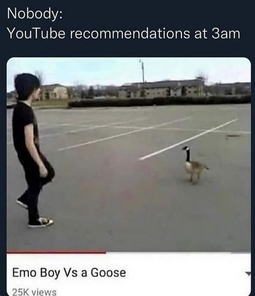 VampireFreaks's tweet photo. What is the weirdest recommended video you have received from YouTube? 👀🙈😂 

#emoboyvsagoose #weirdyoutubevideos #vampirefreaks #emoboy #emogirl #goose #meme #emomeme #youtubememe #spookymemes #funny #youtuberecommended #goth #punk #alt #funnyvideo #weirdmeme https://t.co/ubihZmAuJm