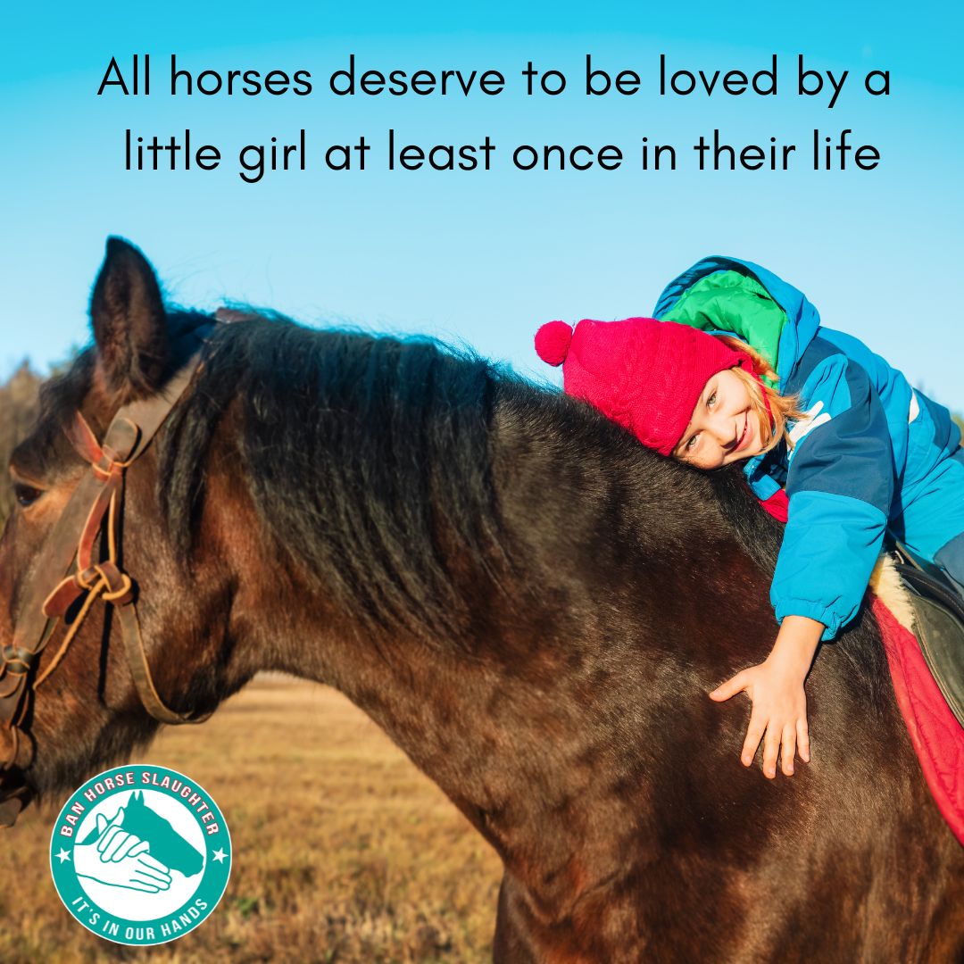 💕Isn't this the truth?

Once you let a horse into your heart, it's there forever...no matter what age you are!

💌horsesinourhands.org/pass-the-safe-…

#stophorseslaughter #Yes2SAFE #BanHorseSlaughter #EndHorseSlaughter