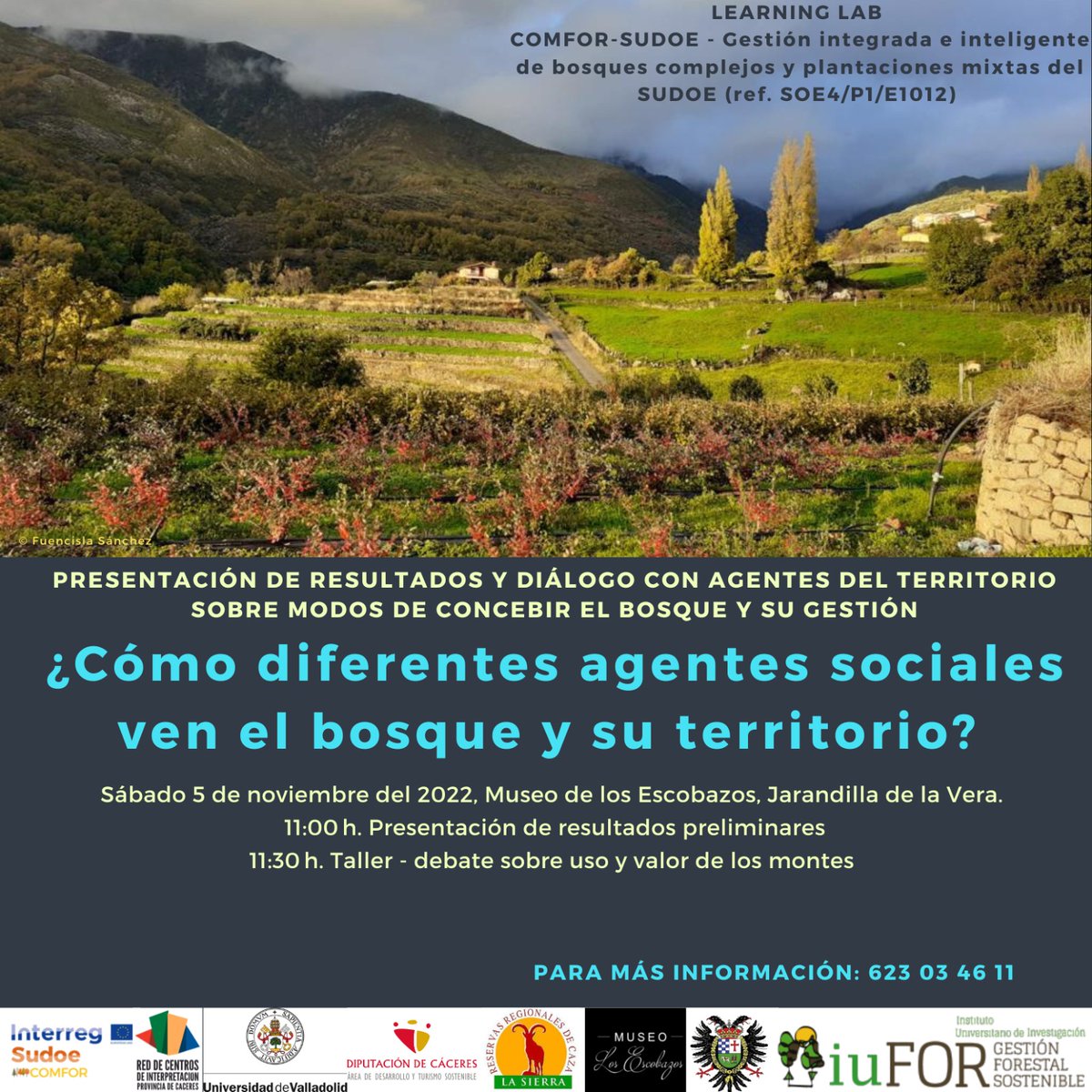 RECORDAD:

Presentación de resultados y diálogo con agentes del territorio sobre modos de concebir el bosque y su gestión. 

(Actividad abierta al público interesado)

🗓️Sábado 5 noviembre 2022
⏰11:00h
📌@museo_i  #jarandilladelavera

#comforsudoe  #interregsudoe