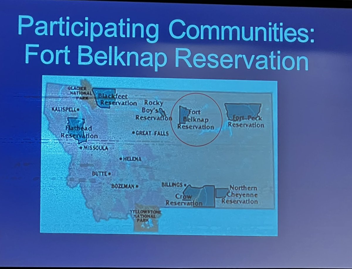 Shal (Diné) tweet media