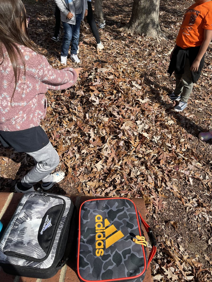 Making piles but also cleaning up the playground! #teamwork