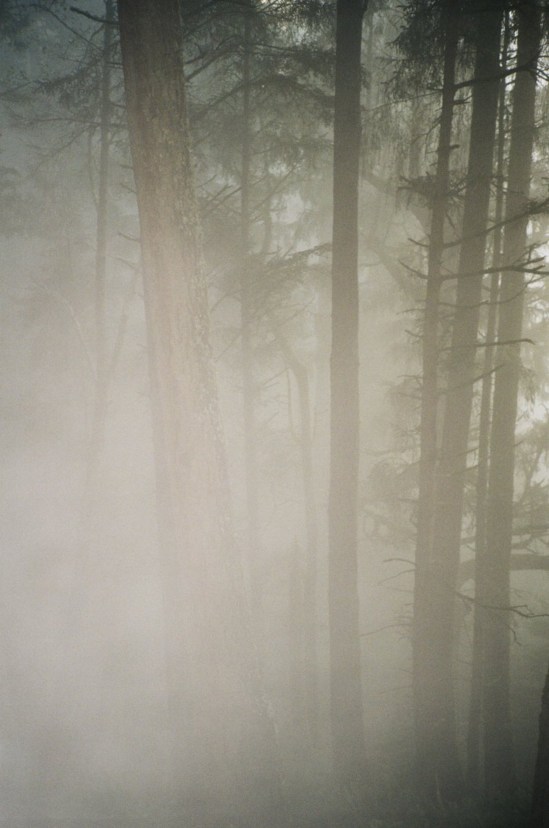 oregon coast on 35mm film