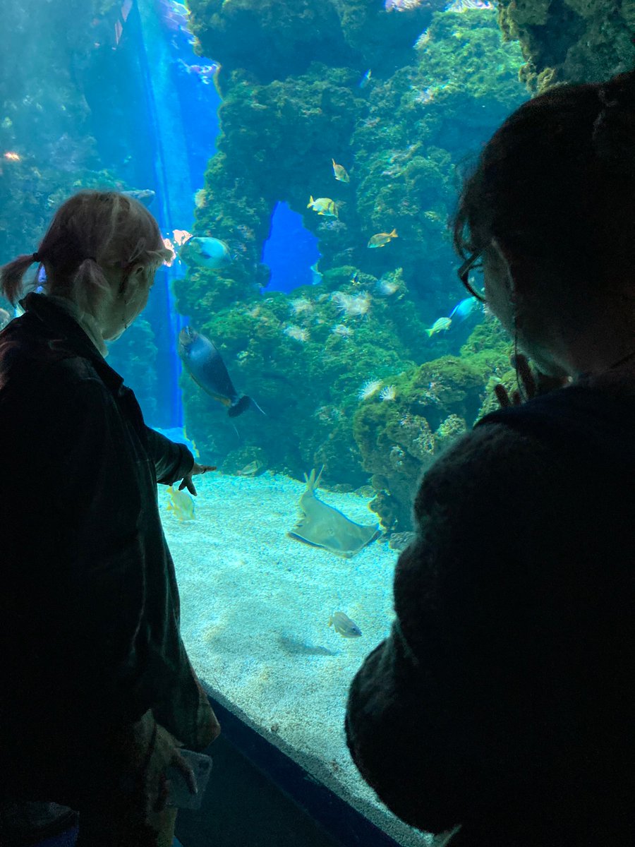 Le musée Océanographique