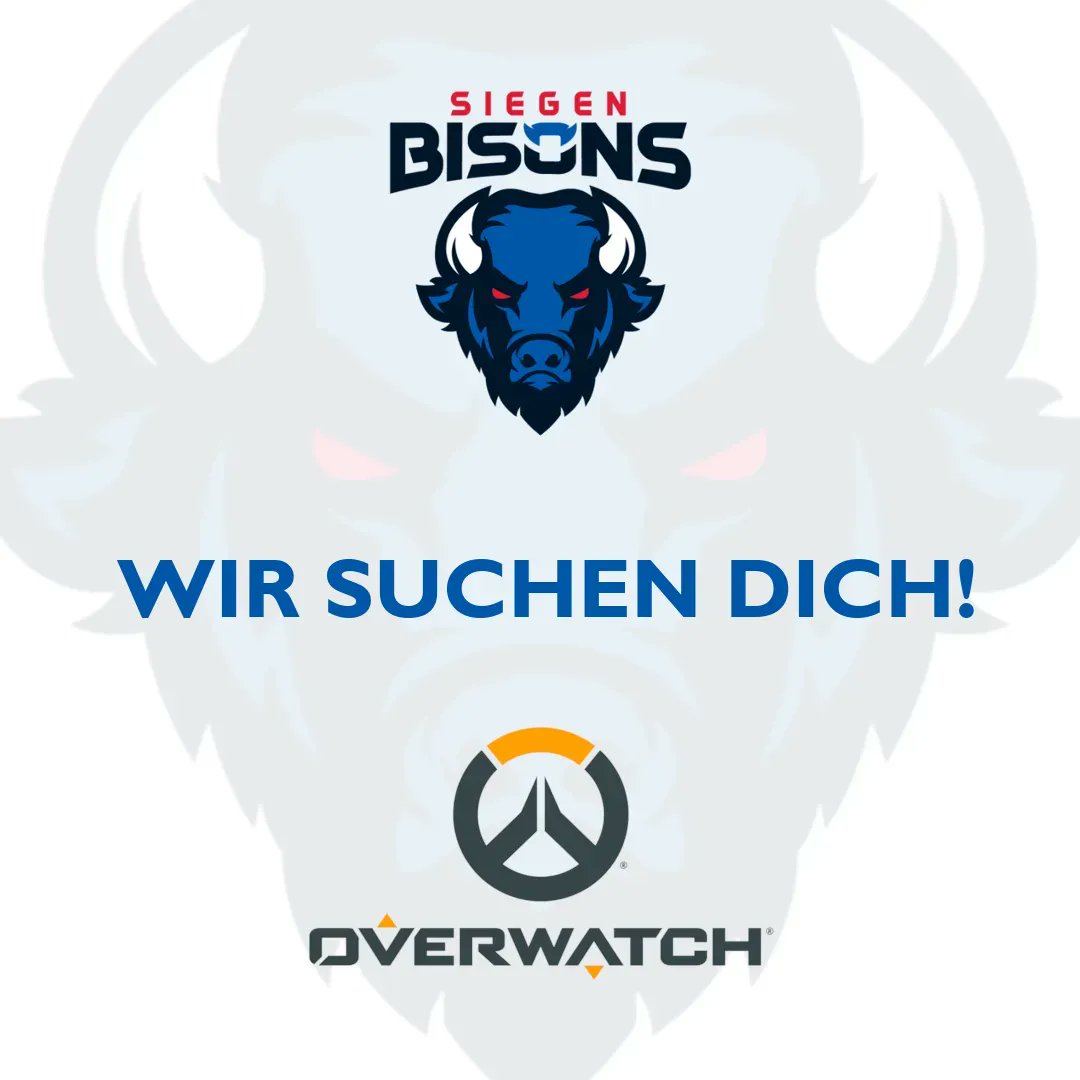 SiegenBisons tweet media