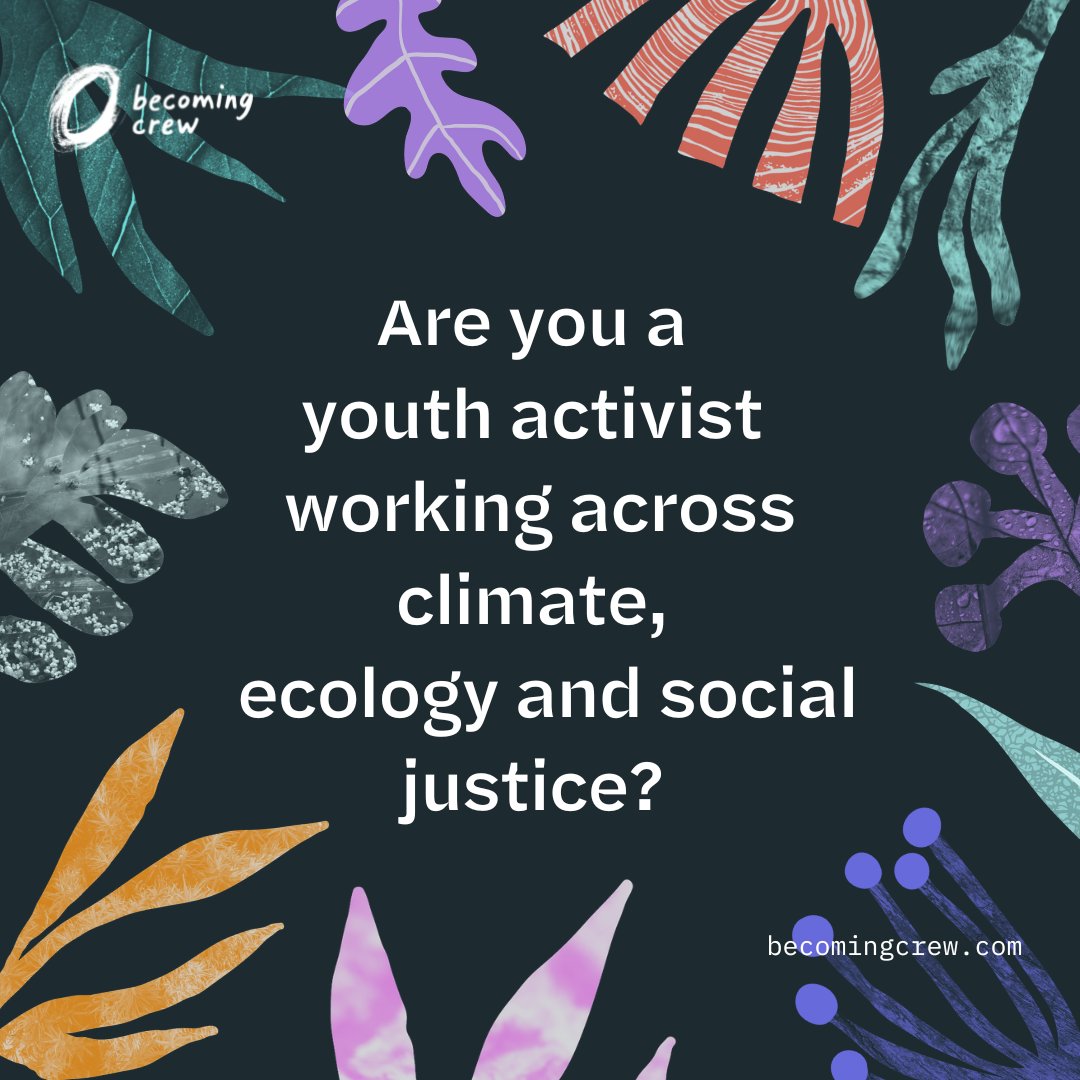 dan burgess 💙 tweet media