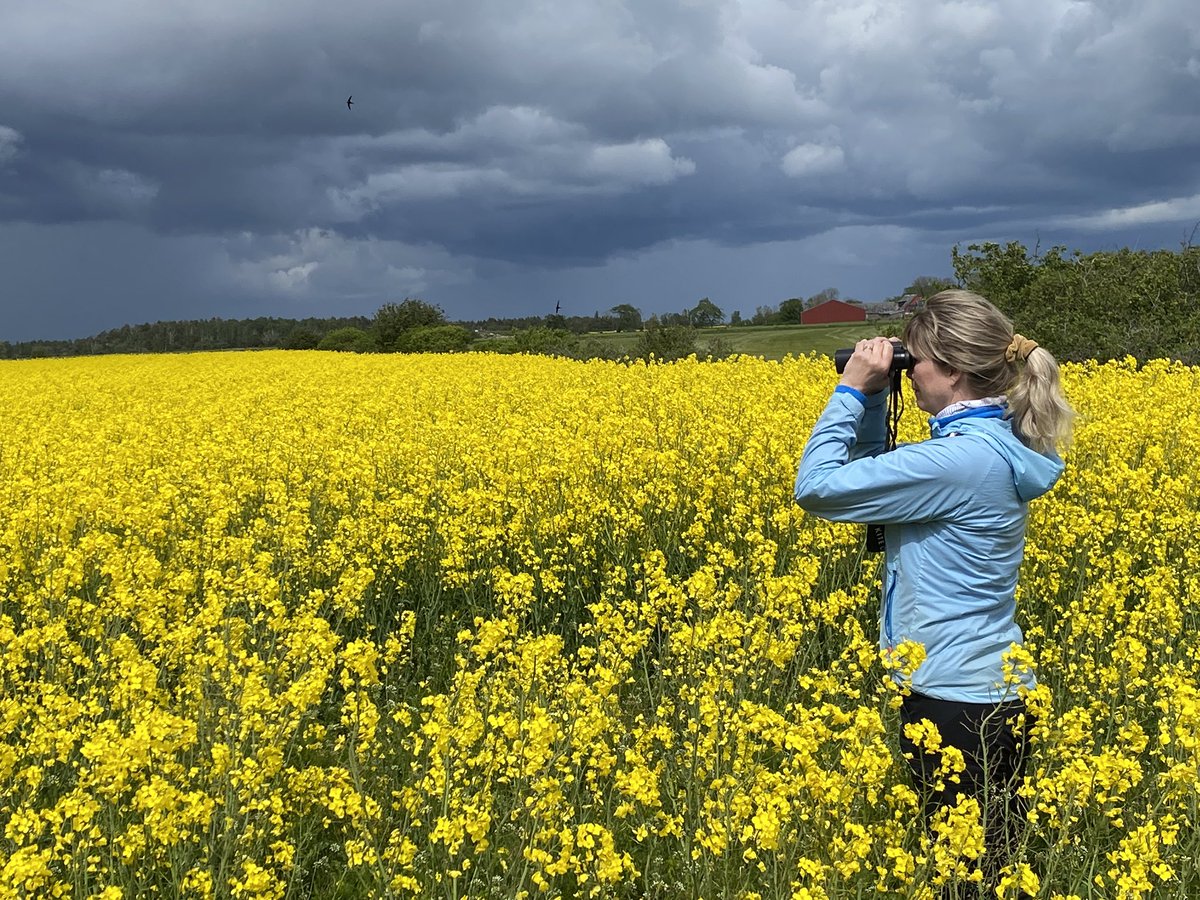 Spaning på bloggar som tar upp frågor om #arbetsmiljö och #forskom
👉🏻@winberg_ @fysioswe om skyddsombud och arbetsmiljö ceciliawinberg.se/2022/10/28/har…
👉🏻vår @AMMblogg Att nå ut med kunskap #ForskarGrandPrix arbetsochmiljomedicin.se/hur-svart-kan-…
👉🏻jämställdhetsarbetet <a href="/skr/">Johan Oskarsson</a> skr.se/skr/tjanster/b…