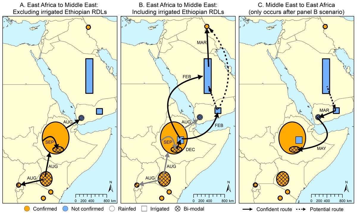 New paper! Irrigation can cause new green bridges for wheat stem rust. doi.org/10.1088/1748-9…. With co-authors <a href="/imthursty/">Will Thurston</a> @JWillockSmith <a href="/monatamas/">Mona Tamás</a> <a href="/cam_plantepi/">Cambridge Plant Epidemiology and Modelling</a> <a href="/CIMMYT/">CIMMYT</a> <a href="/MetOffice_Sci/">Met Office Science</a>