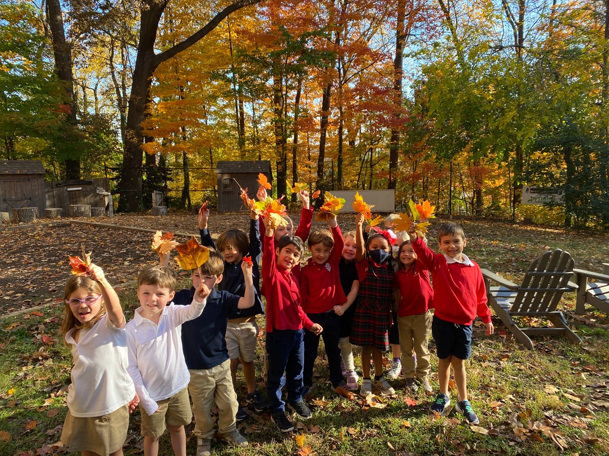 Kindergarten scientists explore leaves in the outdoor classroom! Falling for fall @ the LS!