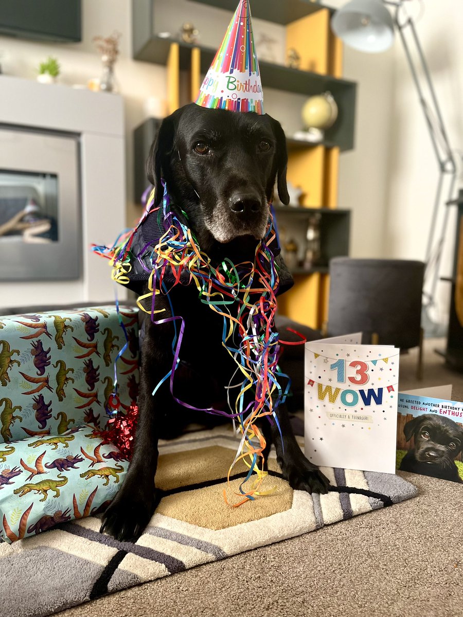 Rachael Moses tweet media