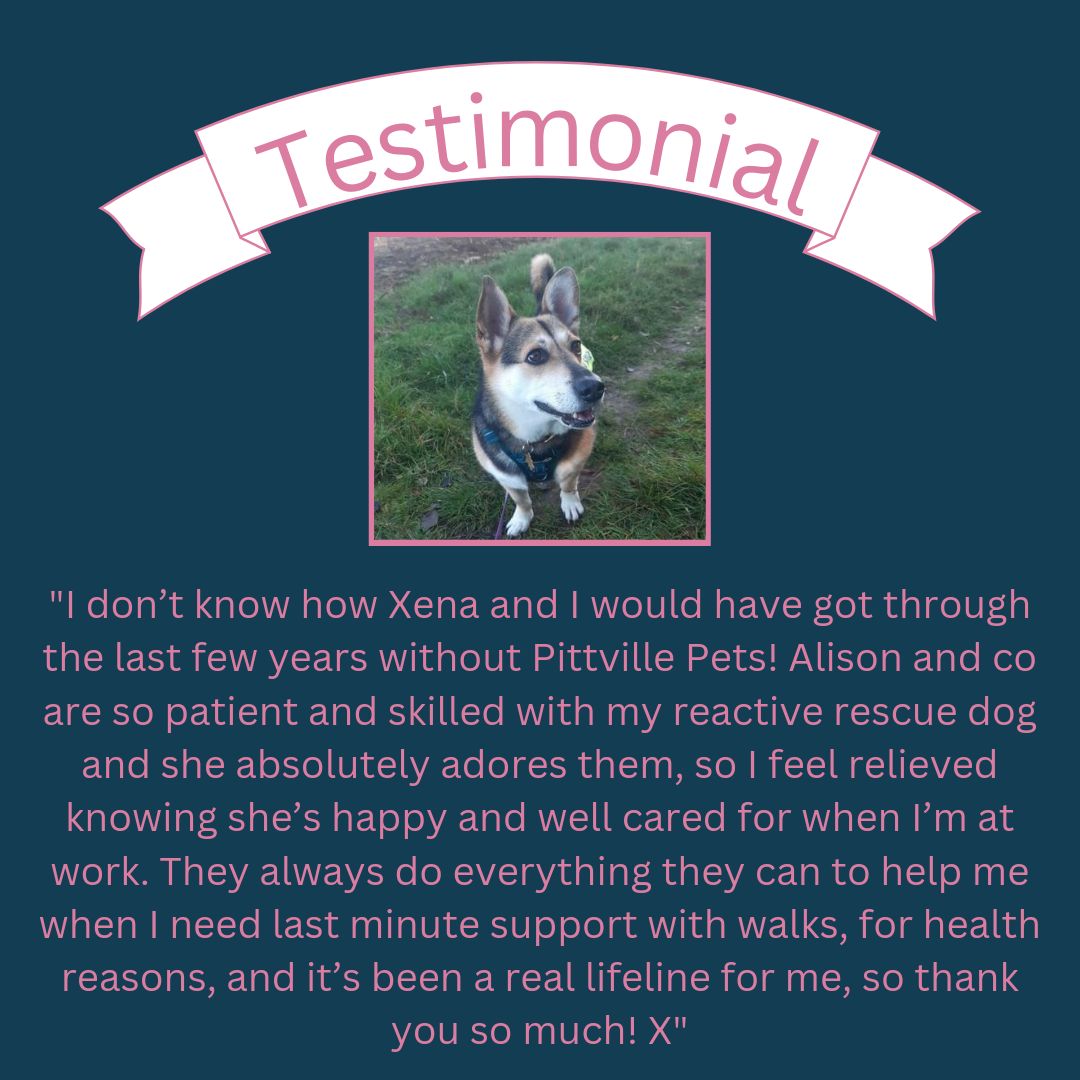 Pittville Pets and PAWS CIC tweet media