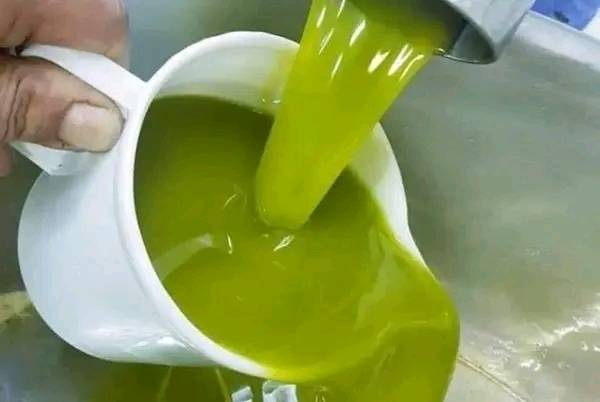 The Tunisian 🇹🇳 olive oil has been elected several times “best olive oil in the world”.

Tunisia is among the world's largest olive oil-producing countries.

The North African country has the highest density of olive plantations in the world with 1.8 million hectares covered.
