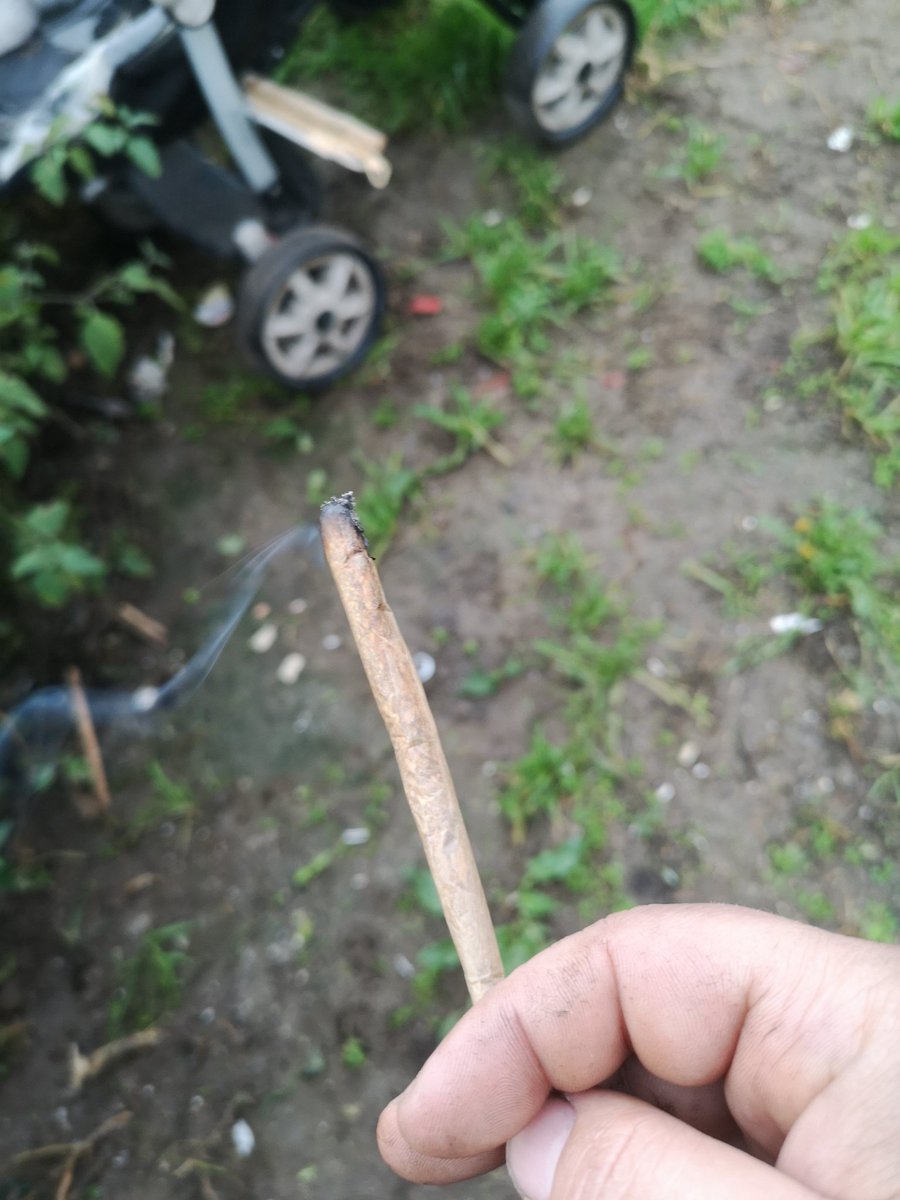 droplex0123's tweet image. 