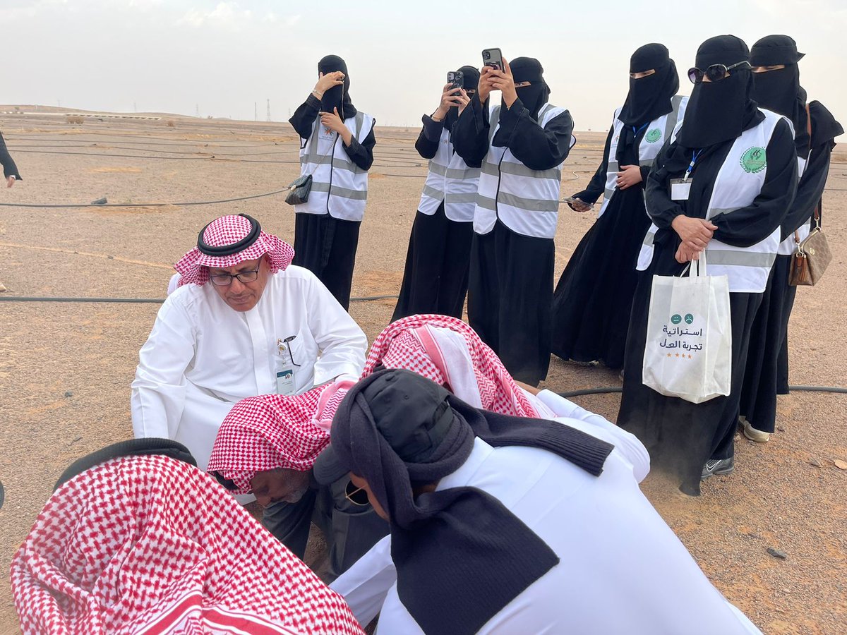 صحيفة الساحات العربية tweet media