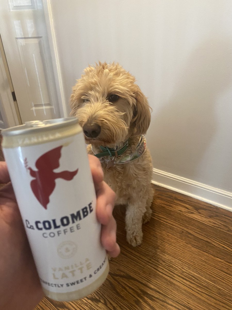 mlevy092's tweet photo. @LaColombeCoffee #BeanedUp with the pup 🐶 @LaColombeCoffee https://t.co/2bgIAup7ml