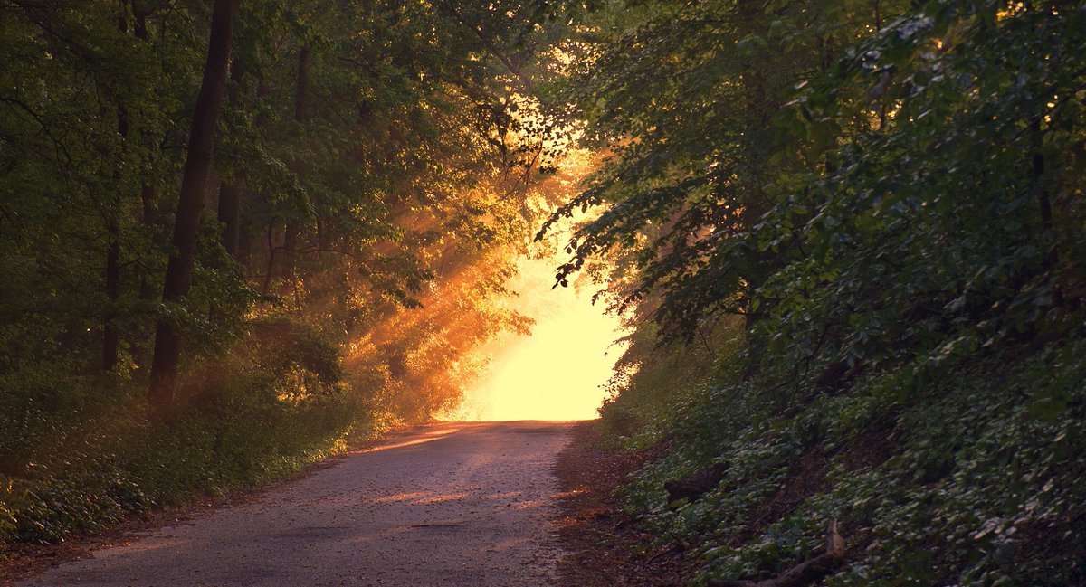 Bethany Children's Trust tweet media