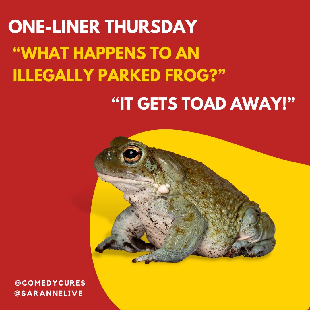 sarannelive's tweet image. It’s One-Liner Thursday! “What happens to a illegally parked frog?"
"It gets toad away!" @comedycures

@sarannelive #comedycures #frog #froghumor #toadhumor #tow #towinghumor #parkingticket #parkingspot #parking #nonprofitorganization #joke #humor #onelinerjoke #oneliners