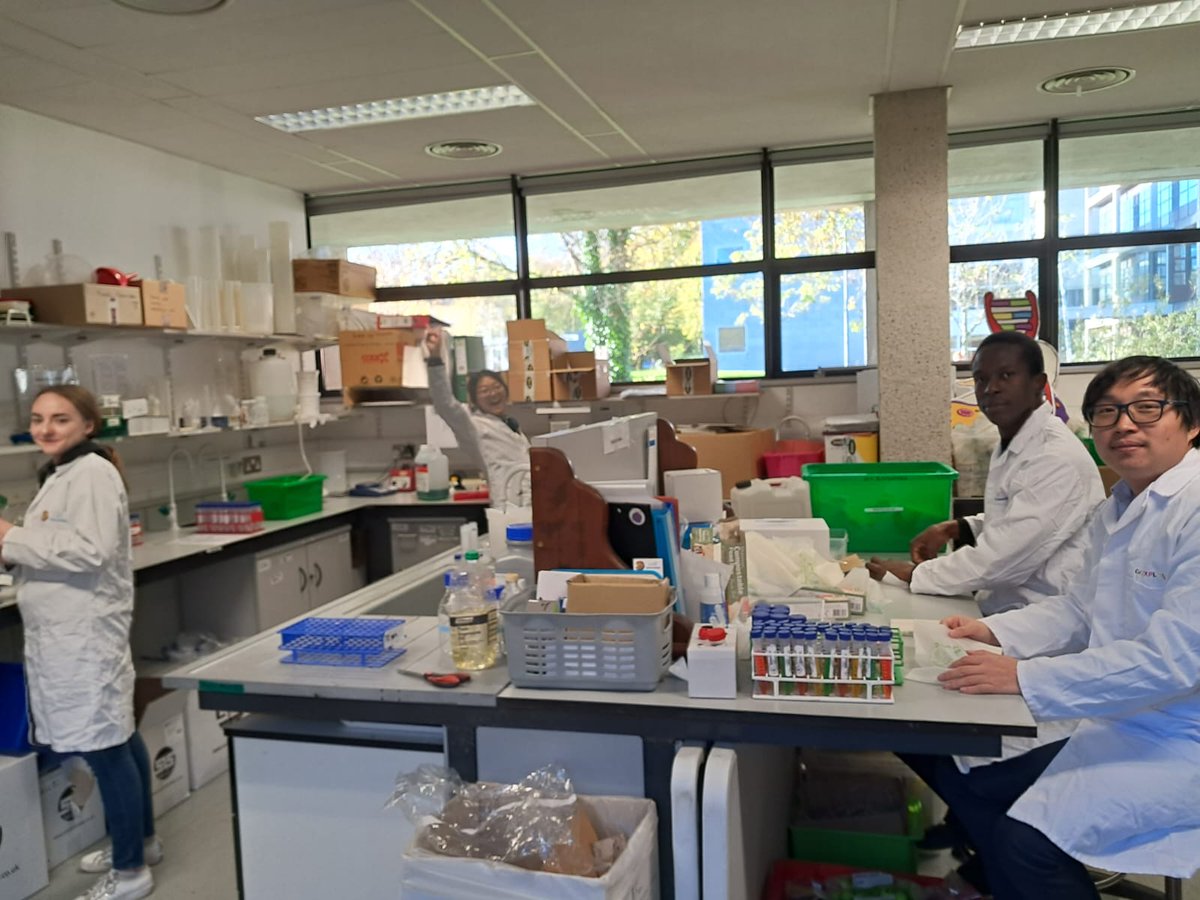 Cellexplorers's tweet photo. Our prep team at @uniofgalway has been super busy today getting ready for #ScienceWeek22!

13 #volunteers spent 7 hours today aliquoting, stickering, pipetting, filter-folding, pipetting and packing!

That's 560 #FDIAB children kits &amp; 40 #LittleCells games! 

#BelieveInScience https://t.co/FGrmbYppfd