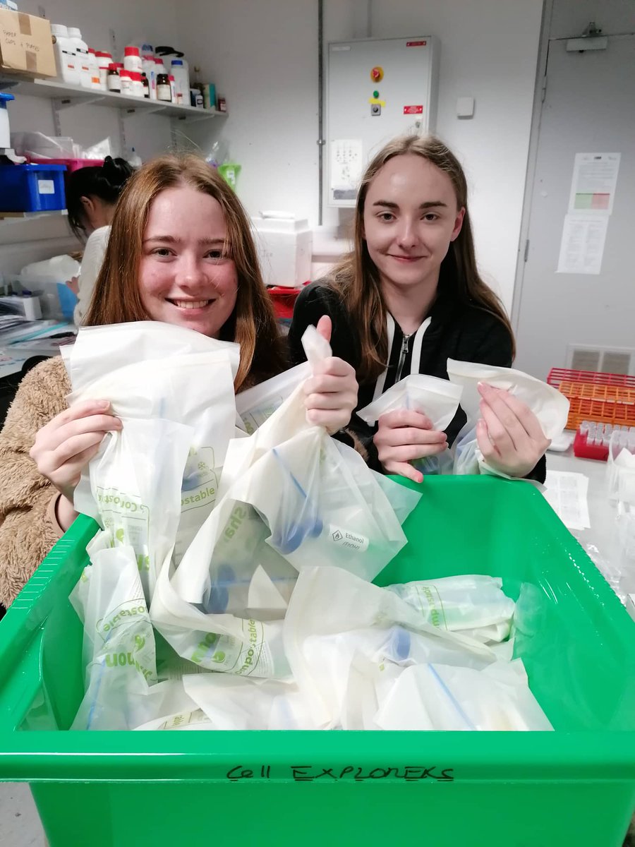 Cellexplorers's tweet photo. Our prep team at @uniofgalway has been super busy today getting ready for #ScienceWeek22!

13 #volunteers spent 7 hours today aliquoting, stickering, pipetting, filter-folding, pipetting and packing!

That's 560 #FDIAB children kits &amp; 40 #LittleCells games! 

#BelieveInScience https://t.co/FGrmbYppfd