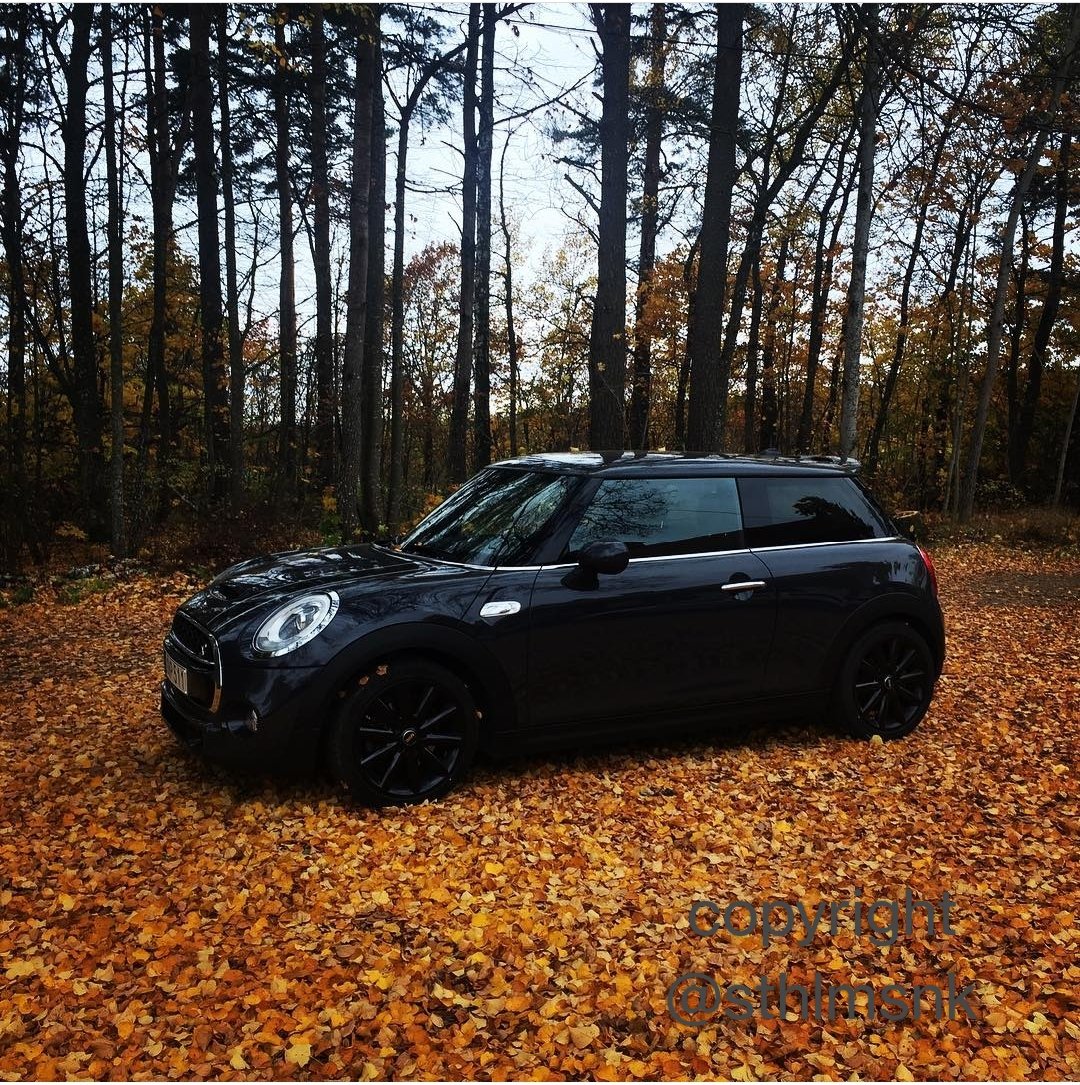 STHLMSNK's tweet photo. @MINI Myself and my Mini agrees 🍁 https://t.co/8aa7XRsPWp