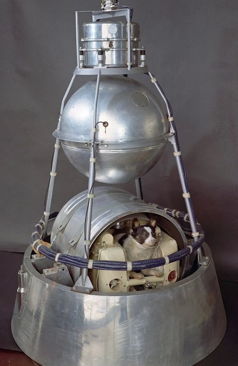 brionesci's tweet photo. Tal día como #hoy, en 1957, la perrita #Laika fue el primer animal puesto en órbita de la Tierra. Despegó desde el cosmódromo de Baikonur en el satélite soviético #Sputnik2 y a partir de ese momento se convirtió en un símbolo... https://t.co/VpIBnR3K9G