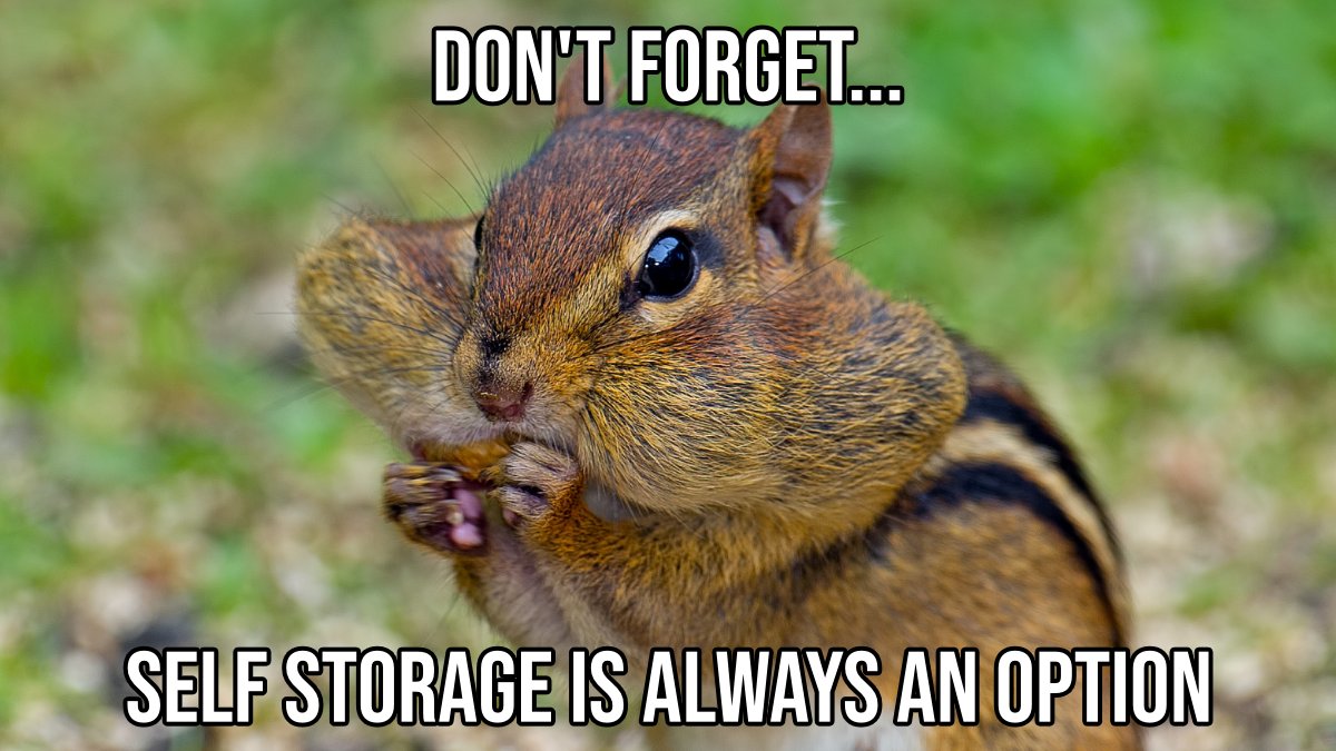 SilverStarMove's tweet image. Are you having problems selecting a suitable storage solution?

There's one right beneath your nose that you might have overlooked.

That is the'self-storage' option that our chipmunk buddy is demonstrating.