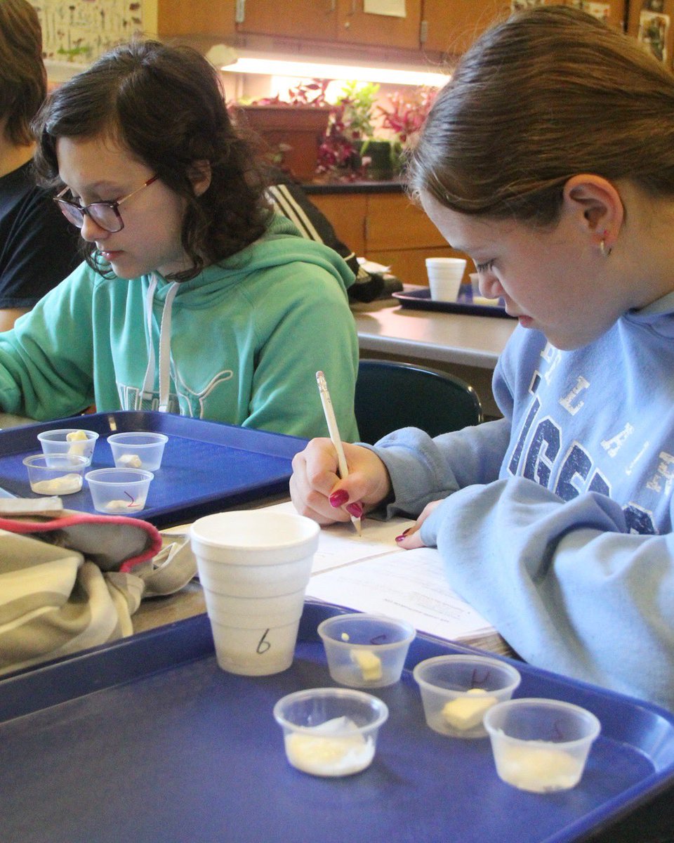 AFSAHighSchool's tweet photo. Ms. Leiding's Intro to Ag class is learning all about dairy products and the Milk Quality and Products CDE. A CDE is a Career Development Event. Students study and practice to gain a complete and comprehensive knowledge of what it takes to succeed in a particular career. https://t.co/Kqq3pfT4PW