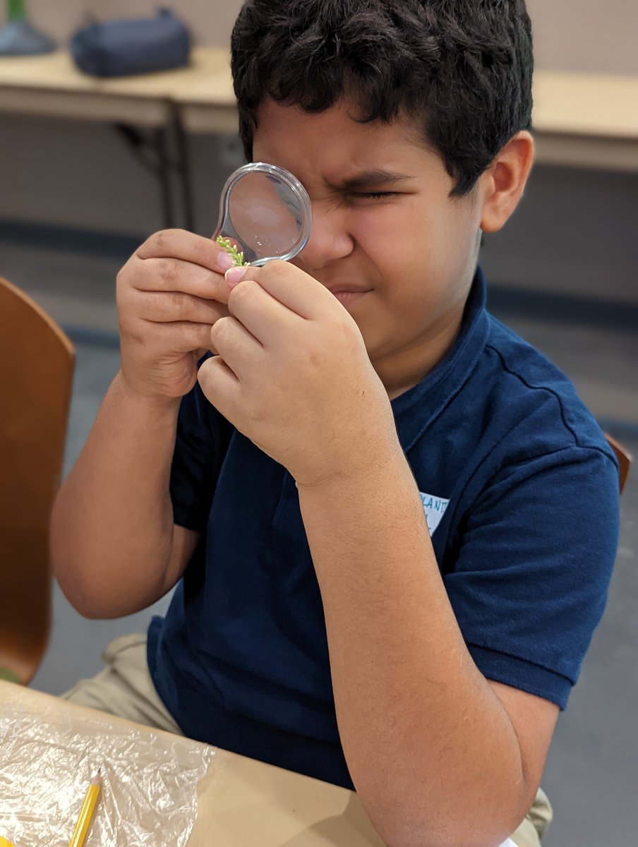 Ottersof4th's tweet photo. Our Budding Botanists had a blast at the Botanical Gardens today! Ask us about seed dispersal, pollination, or even native plants! @hceotters https://t.co/SmwqNXbcqB