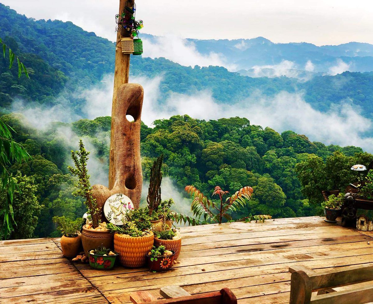 rwotoriba's tweet photo. Uganda is Beautiful π
#Retweet π if you love "The Pearl of Africa πΊπ¬"
#Ihamba #Residence in #Bwindi #Impenetrable #National #Park...
Exploring Uganda and Beyond
@IhambaResidence
@UgandaUncovered
@SafarisHeaven
@LillyAjarova https://t.co/nsp2cTs62X