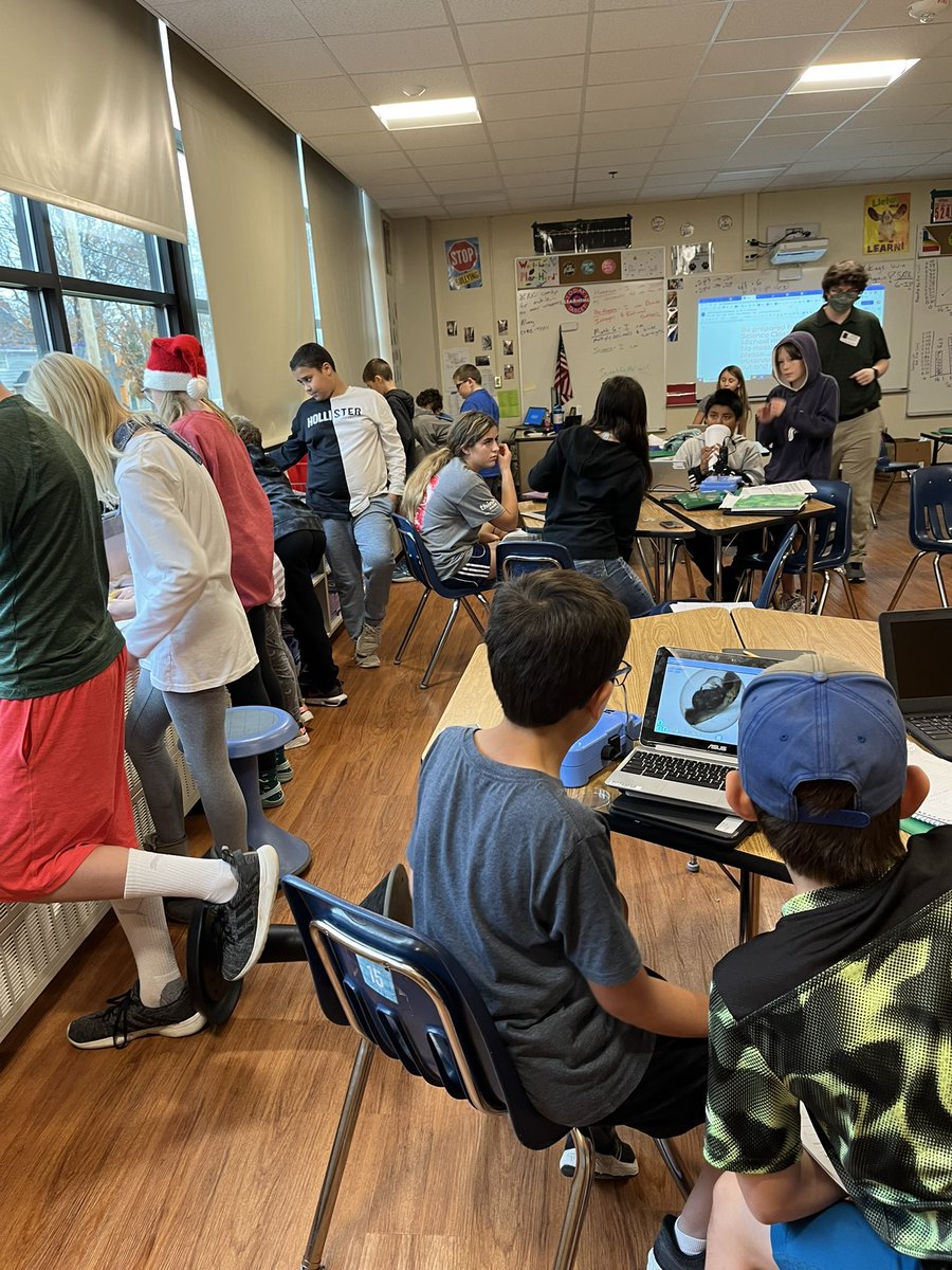 Matthew Bitz tweet media