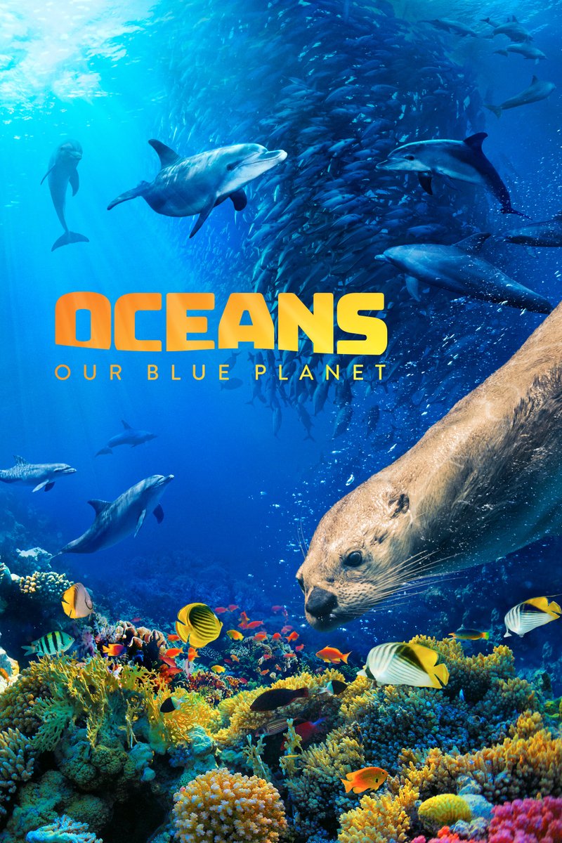 OntScienceCtr's tweet image. On Saturday, November 5 at 9:30am, embark on a global odyssey through the largest &amp;amp; least explored habitat on Earth during a sensory-friendly screening of Oceans: Our Blue Planet. Book your tickets 👉 bit.ly/2VRSvwM

#ASD #IMAX