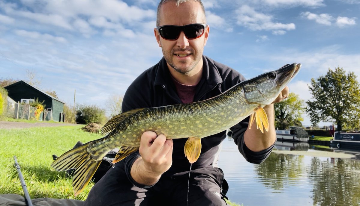 pete_caine's tweet photo. Lovely explore between the showers, and plenty of pike in the net 😎🎣🎣 https://t.co/b8M000GALb