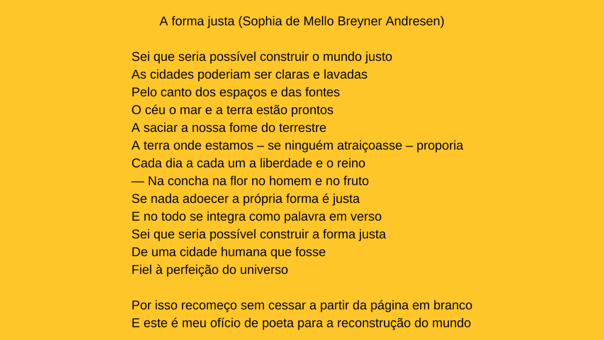Liuca Yonaha tweet media