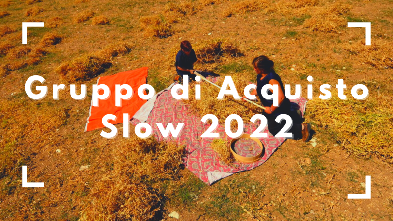 Slow Food Trieste tweet media