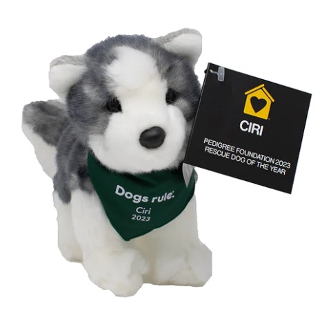 As 2023 Rescue Dog of the Year, a commemorative plush dog in Ciri’s honor will be sold throughout 2023. Proceeds support shelter and rescue grants to help more dogs like Ciri find loving homes. Shop now: dogsrulestore.com/products/ciri-…