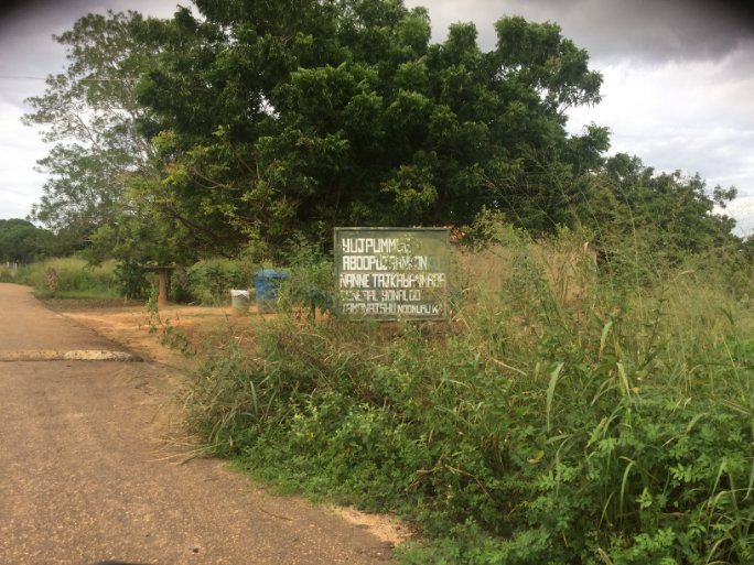 INIDIANZOATEGU1's tweet photo. Tascabaña!. comunidad kariña ubicada en el Municipio Freites en la mesa de Guanipa,a pesar de la fuerte inluencia de la cultura occidental,aun mantiene vivo su idioma, sus tradiciones ancestrales, el baile tradicional del maremare, https://t.co/mZOB7NMBlc