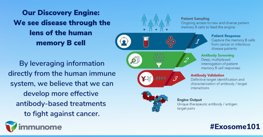 Immunome’s discovery engine interrogates human memory #BCells to see how #cancer cells look in the context of the #TumorMicroenvironment to identify #antibody-based treatments. See more on our website: bit.ly/3CjmNPB #Exosome101