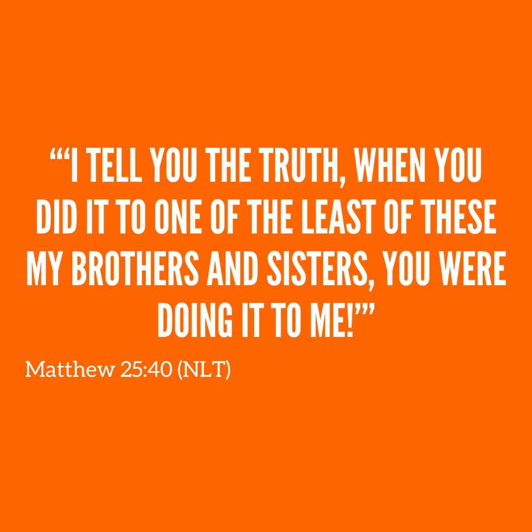 Vineyard N. Phoenix tweet media