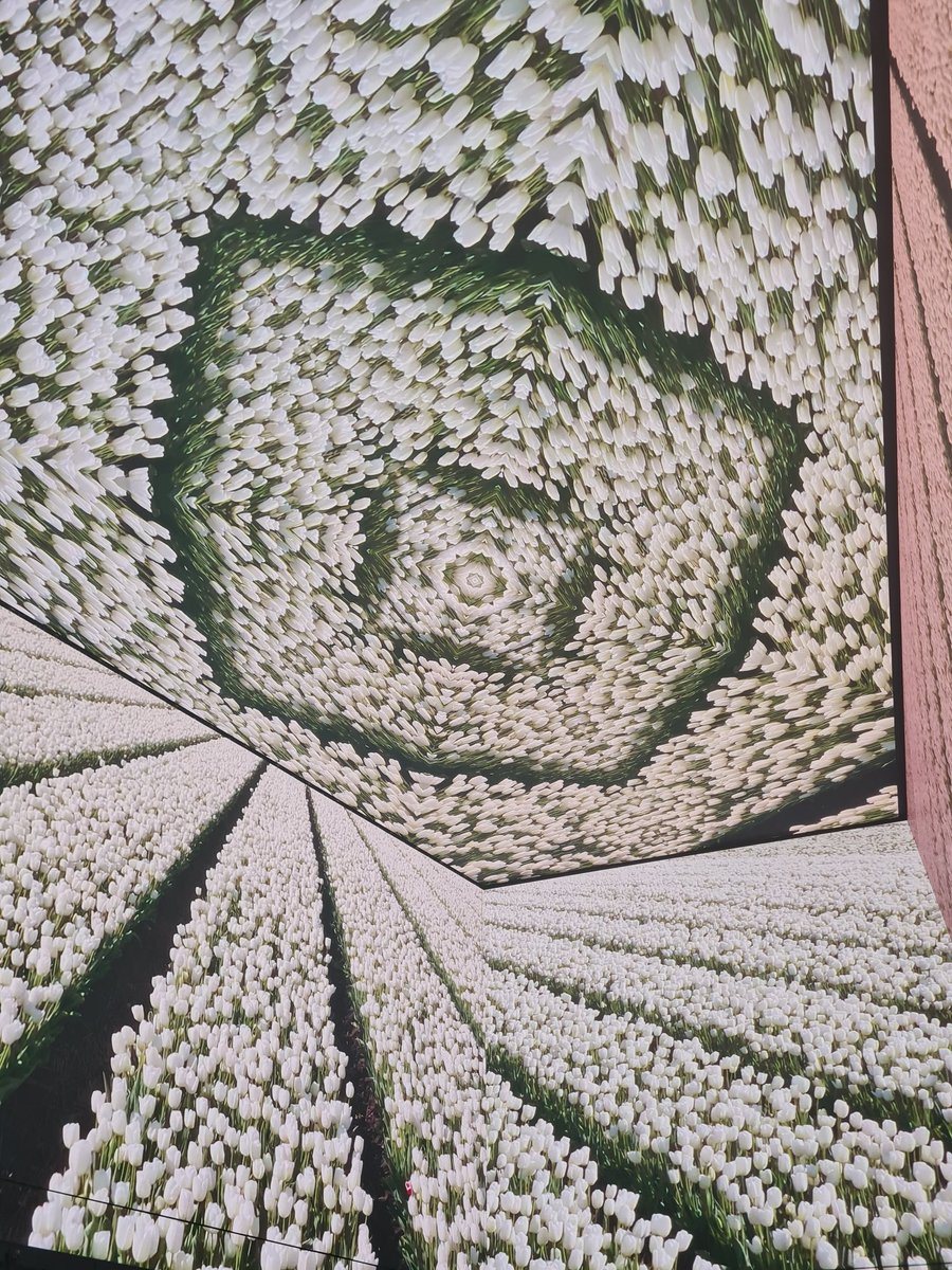 Victoria_H_W's tweet photo. Well this provided some much needed zen time during my lunch break. Amazing 360 degree video on immersive screens @OuternetGlobal 

#OuternetLondon #SpatialAudio #ImmersiveScreens #London #TottenhamCourtRoad #TheNowBuilding https://t.co/9YJqmAm4pq