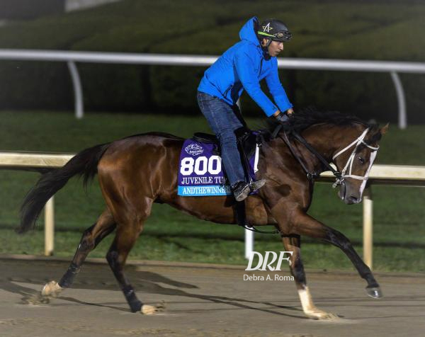 Daily Racing Form on Twitter: "Breeders' Cup: Moulton has Breeders' Cup ...