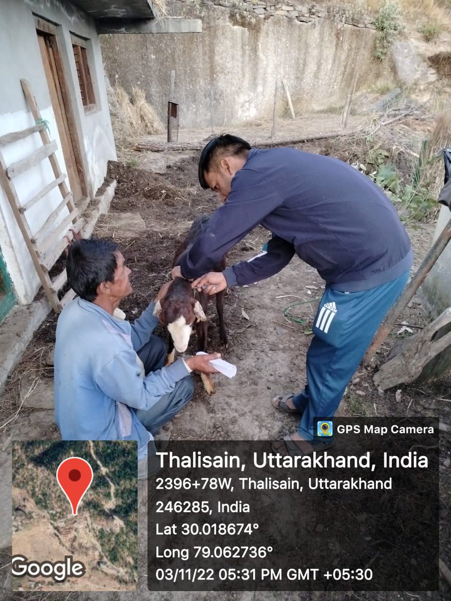 FiuPauri's tweet photo. FIU पौड़ी के ग्राम केन्यूर एवं कपरौली में परियोजना के अंतर्गत पैरावेट द्वारा लाभार्थियों के बकरीयों की स्वास्थ्य जांच एवं उपचार किया गया। #Goattreatment  #ncdc #ukcdp @Dept_of_AHD @pashudhanUK  @basava_ias @mdusgcf @aviddn @SANJAYK47559742 https://t.co/brnzYc5yua