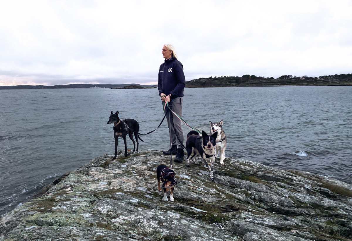 A man and his dogs. 🥸🐾🦮

Aska is getting more and more comfortable being on a leash and part of a pack. ❤️

#SnapsOfSweden #ZedaTheGrey #ValfreyjaTheHusky #Aska #FosterDogAska #RescueIsMyFavouriteBreed #AdoptDontShop #DontBuyLoveRescueIt #FosteringSavesLives