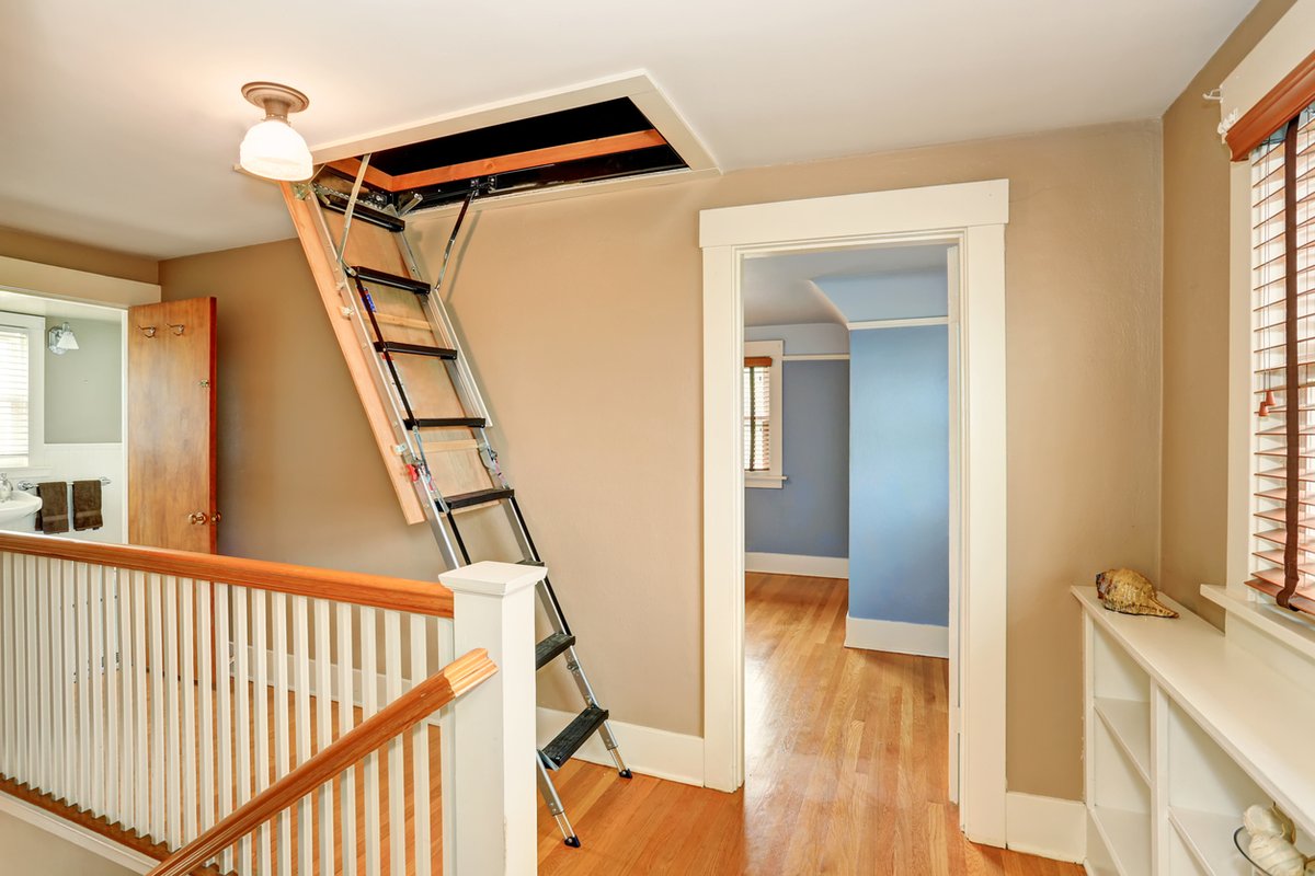 RamsayLadders's tweet photo. Loft Ladder Installation- The Ultimate Guide
https://t.co/5PF49LHXSG https://t.co/nXw7ElUezq
