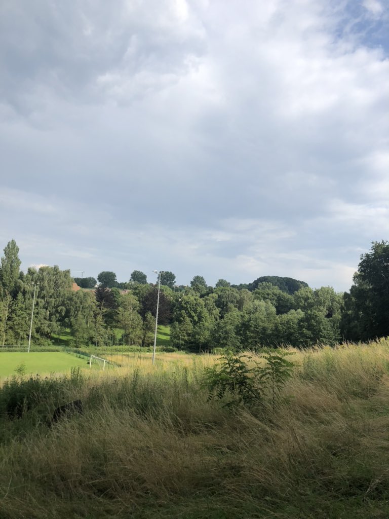 Henri Lamarque tweet media