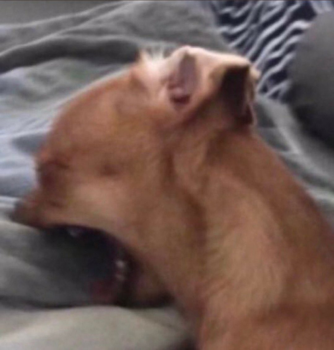 Y’all be doing skincare routine’s everyday and your skin still doesn’t care