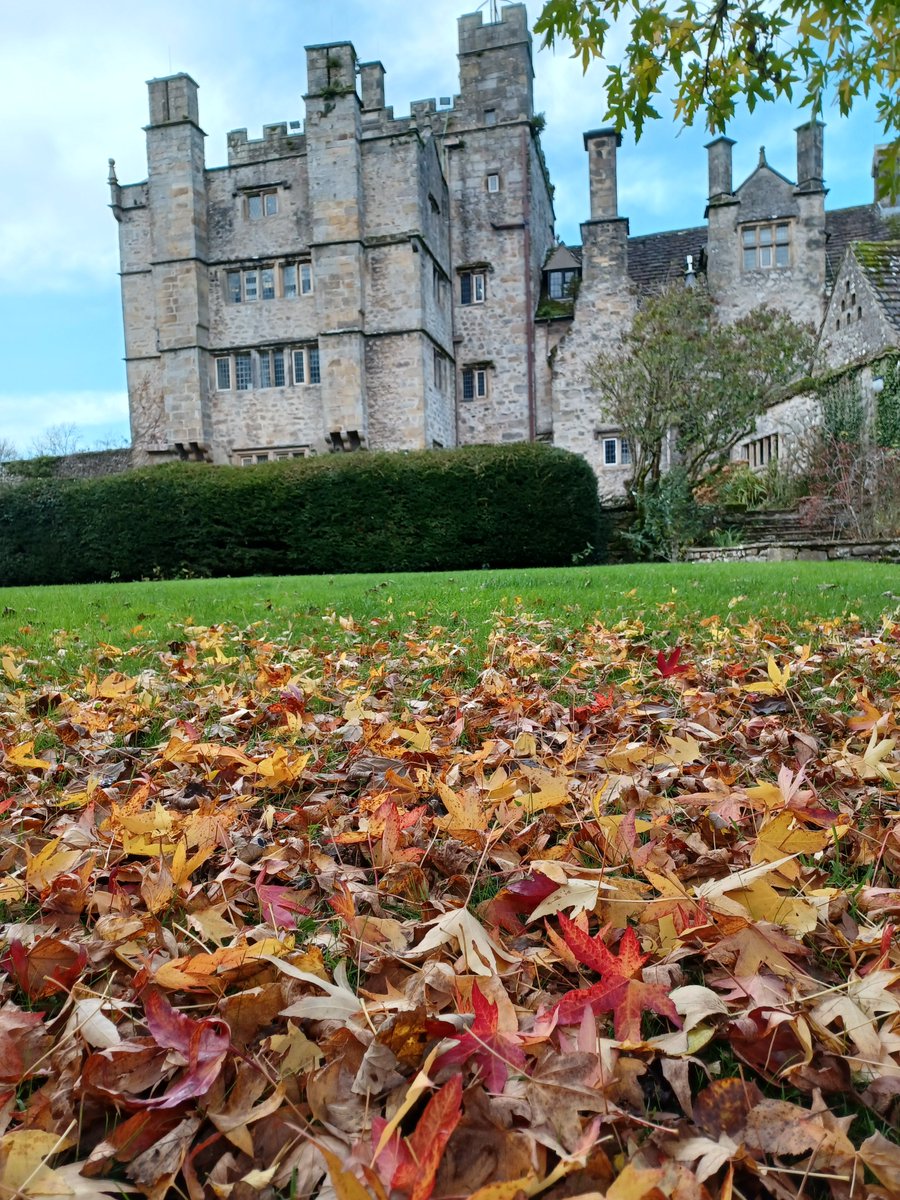 LancsOutdoorEd's tweet photo. Autumn has brought some vibrant colours to #BorwickHall. We love watching the changing of the seasons. Do we have any mushroom experts that can help us identify the pictures below?
#Autumn
#Mushrooms
#LearnOutsideExplore https://t.co/jXa6nxGRCC