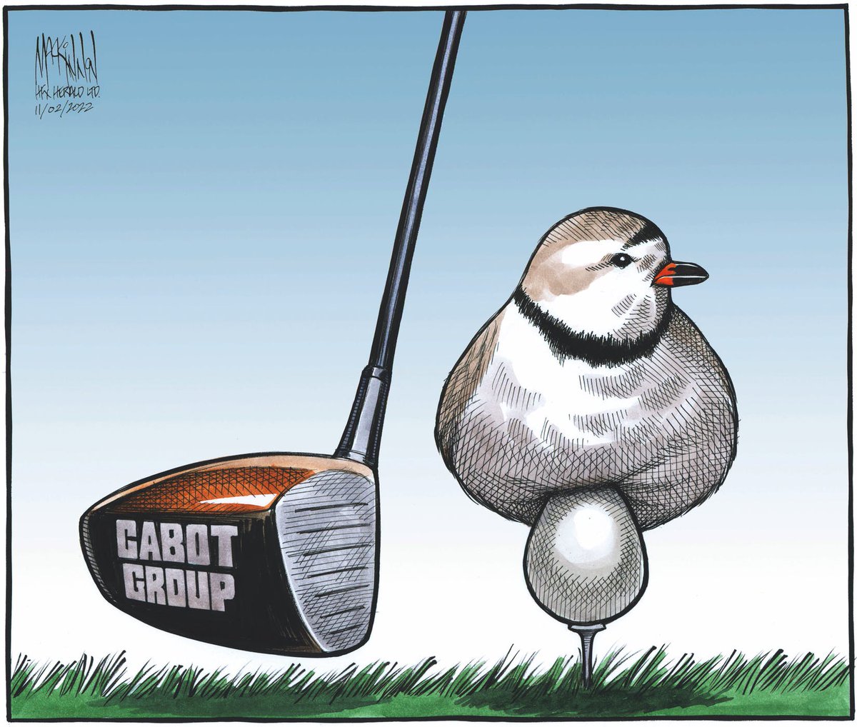 This cartoon by <a href="/CH_Cartoon/">Bruce MacKinnon</a>!!

#SaveWestMabouBeach #NSpoli